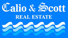 Calio & Scott Real Estate - logo